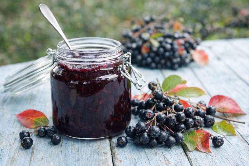Freshly bottled Aronia berry jam