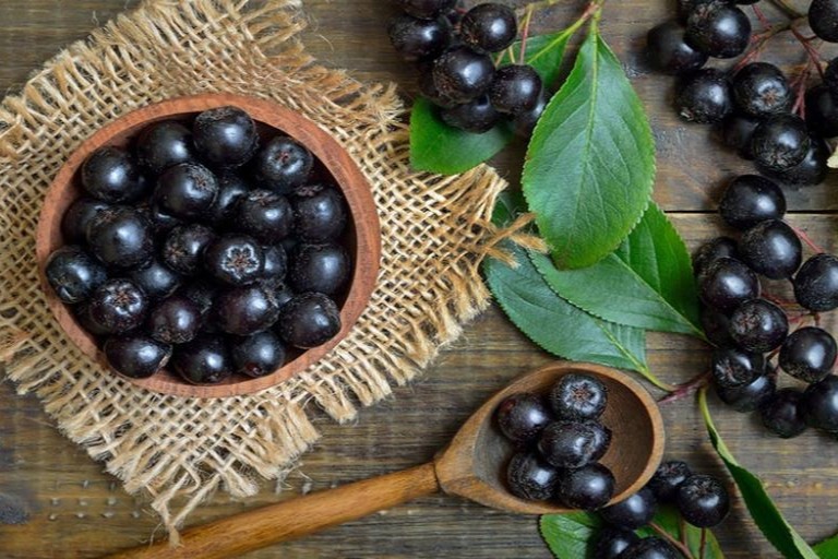 Chemical structure of condensed tannins found in Aronia melanocarpa