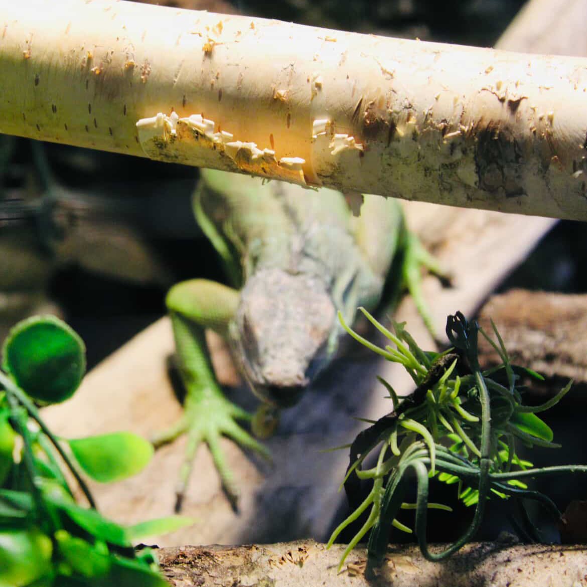 Mystik Cafe Experience 8